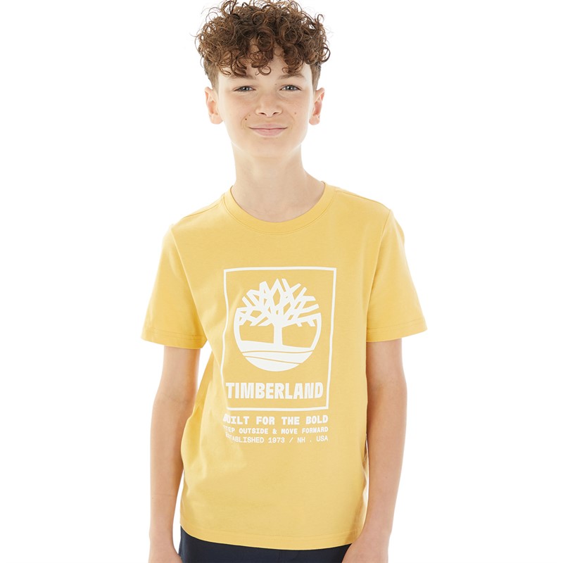 Timberland T-shirt Garçon ocre