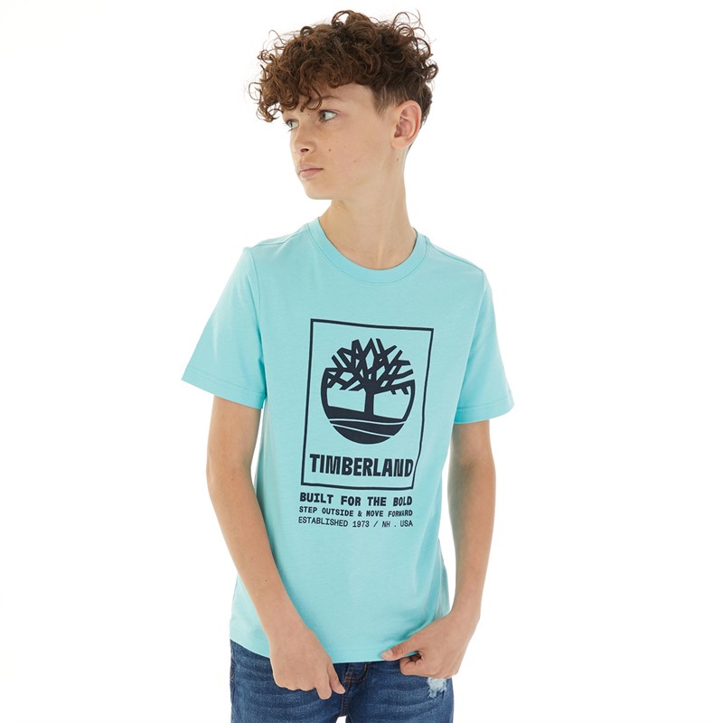 Timberland T-shirt Garçon Temps Libre