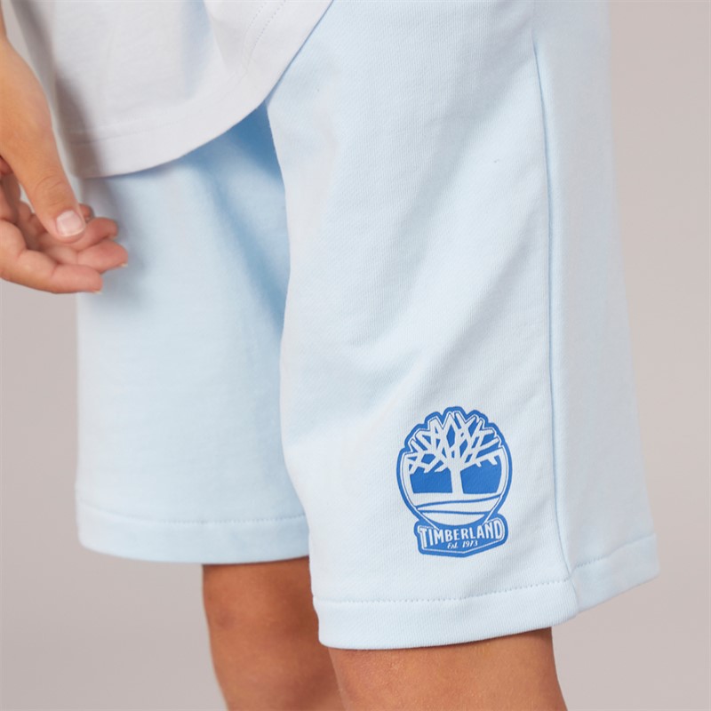 Timberland T-shirt à Manches Courtes Garçon Bleu Pâle