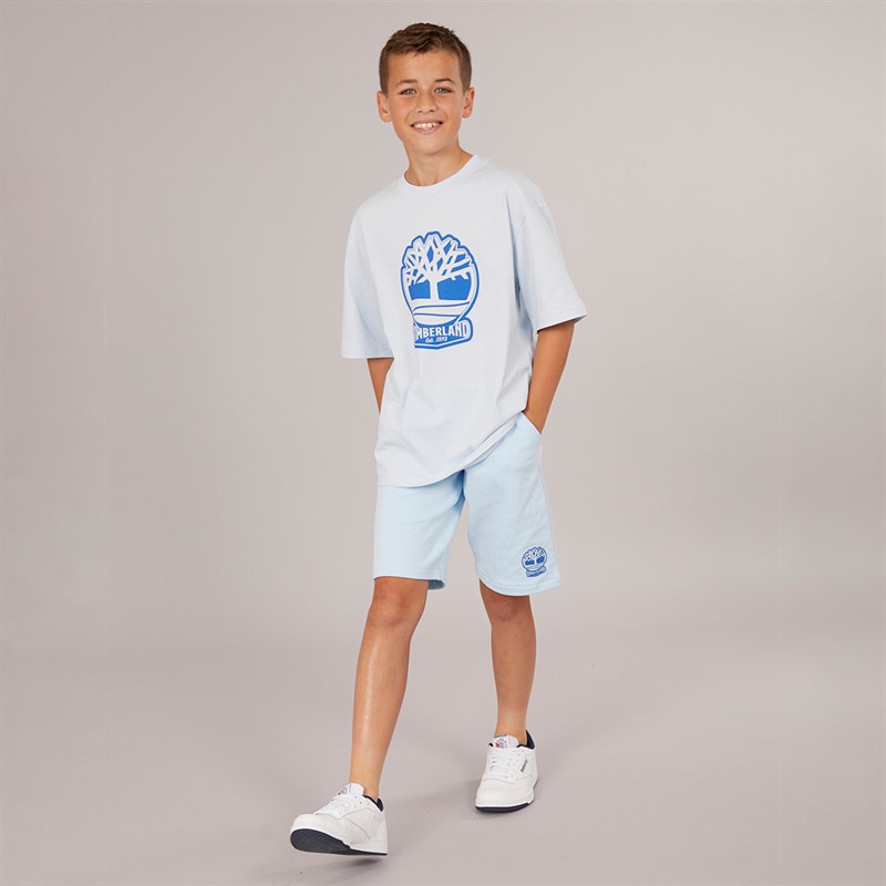 Timberland T-shirt à Manches Courtes Garçon Bleu Pâle