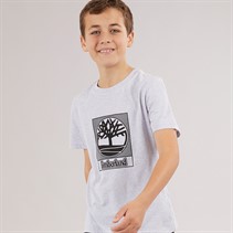 Timberland Boys Short Sleeve T-Shirt Chine Grey