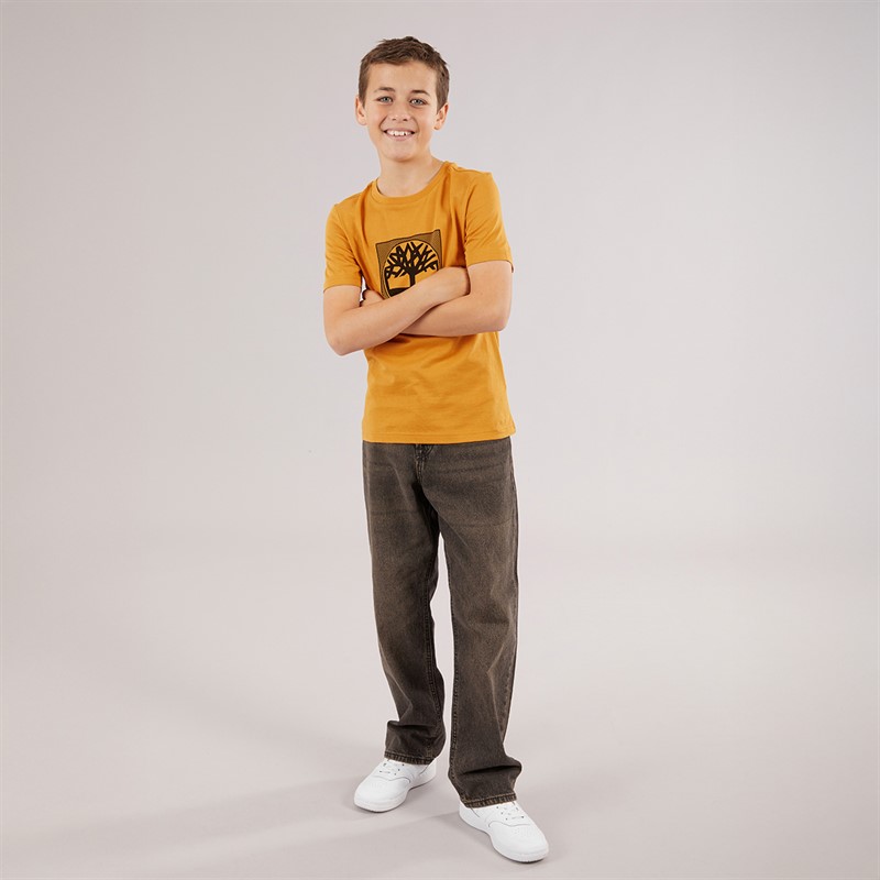 Timberland Boys Short Sleeve T-Shirt Ochre