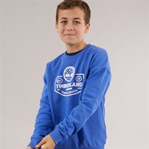 Timberland Boys Sweatshirt Lavender Blue