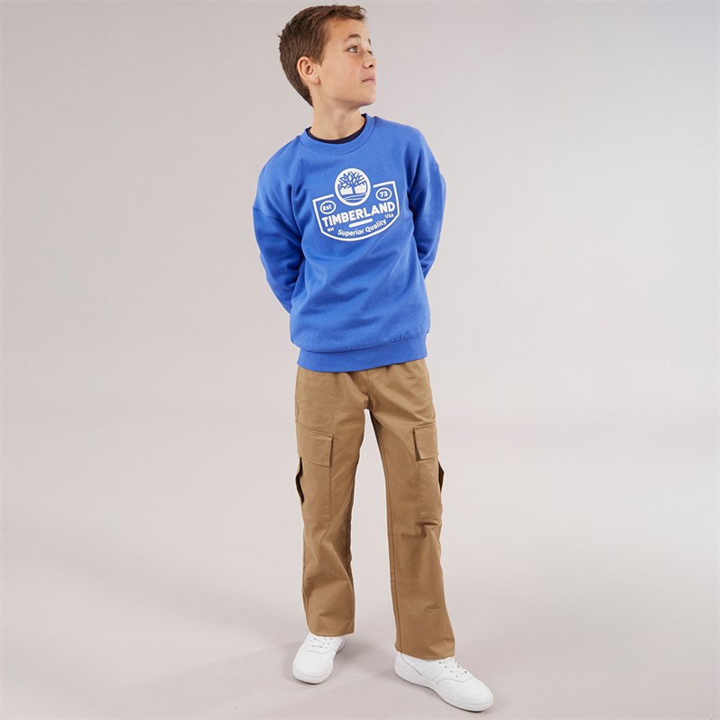 Timberland Boys Sweatshirt Lavender Blue