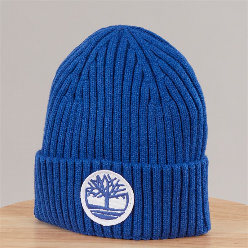 Timberland Boys Logo Hat Lavender Blue