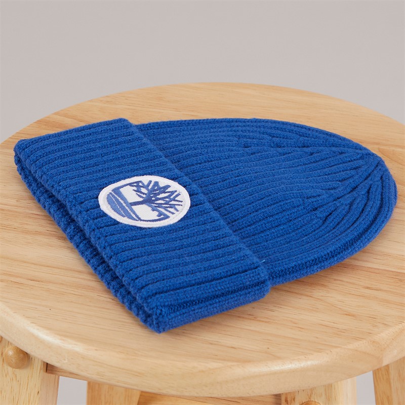 Timberland Boys Logo Hat Lavender Blue