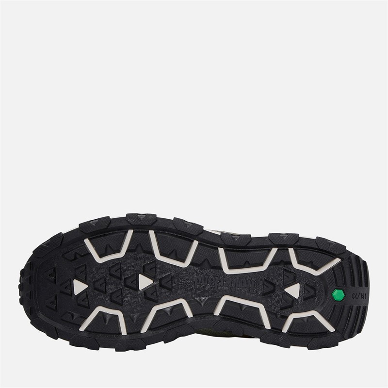 Timberland Mens Winsor Trail Trainers Dark Green Mesh