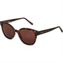 Barbour Womens Sunglasses Tortoise