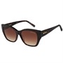 Barbour Womens Sunglasses Tort