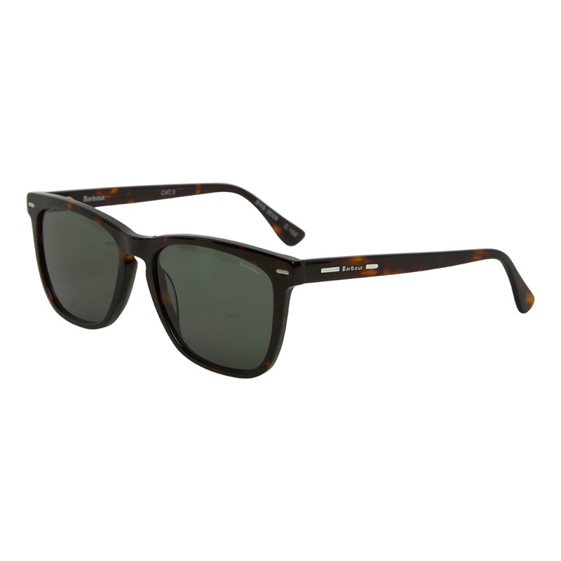 Tortoise sunglasses mens top