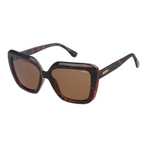Barbour Womens Sunglasses Tort