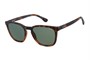 Barbour Sunglasses Tort Green