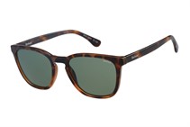 Barbour Sunglasses Tort Green