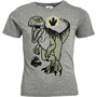 JURASSIC PARK Drenge T-shirts Grå Mergel