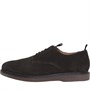 H By HUDSON Mens Barnstable Suede Casual Shoes Brown