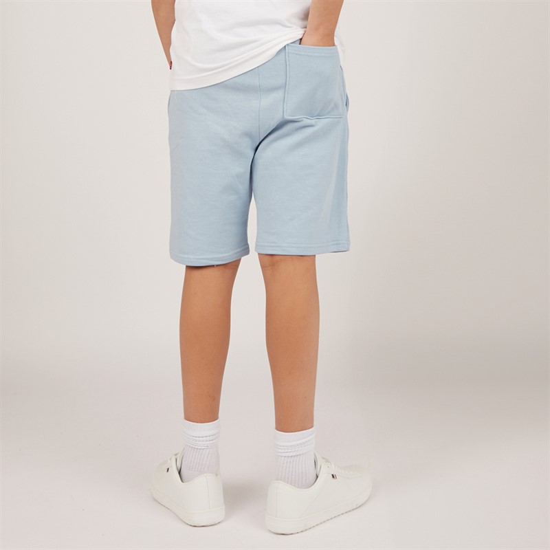 U.S. POLO ASSN. Boys Core Sweat Shorts Blue Bell