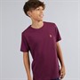 U.S. POLO ASSN. Boys DHM T-Shirt Grape Wine