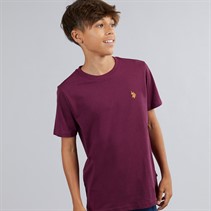 U.S. POLO ASSN. Boys DHM T-Shirt Grape Wine