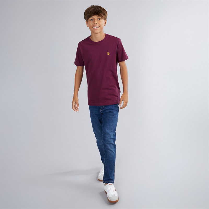 U.S. POLO ASSN. Boys DHM T-Shirt Grape Wine