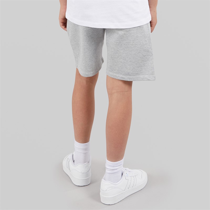 U.S. POLO ASSN. Boys DHM LB Sweat Shorts Mid Grey Marl
