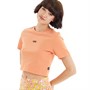 Vans Womens Flying V Crop T-Shirt Sun Baked