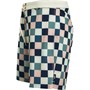 Vans Heren The Daily Check Boardshorts Wit