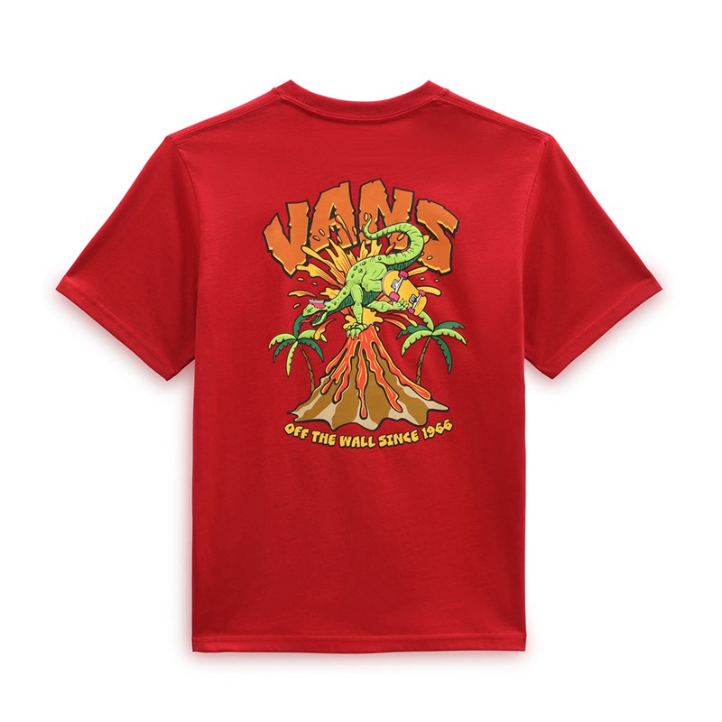 Buy Vans Kids Dino Egg Plant Graphic T Shirt Chili Pepper