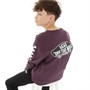Vans Junior Boys Exposition Check Sweatshirt Blackberry Wine