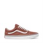 Vans Old Skool Color Theory Trainers Auburn