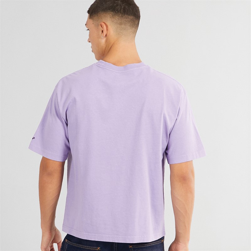 Vans Mens Skate Clay Graphic T-Shirt Purple Haze