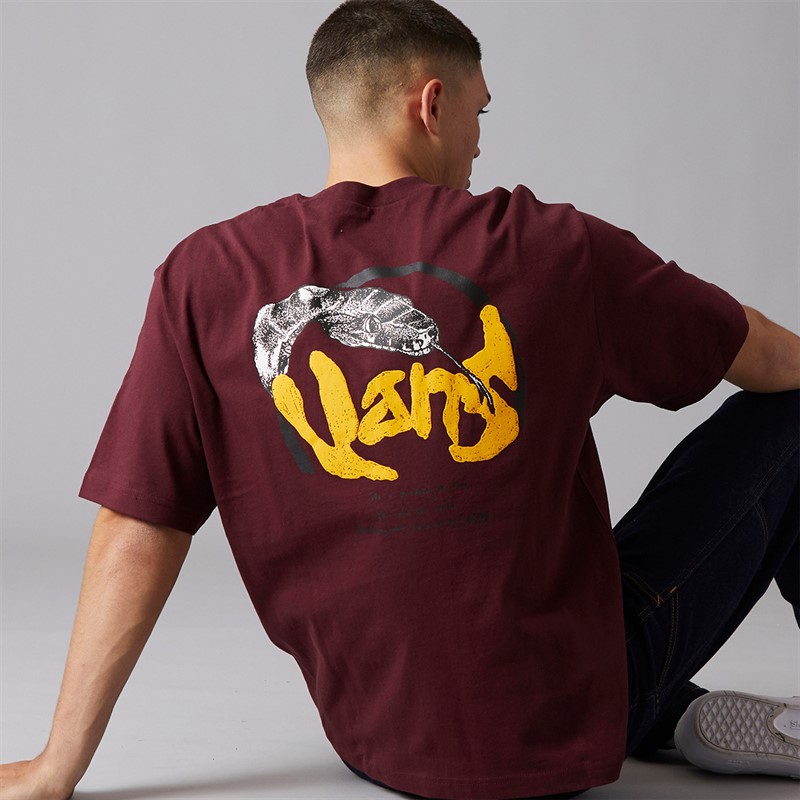 Vans Mens Evolve Graphic Back T-Shirt Port Royale