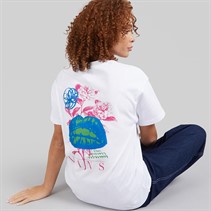 Vans Womens Talk Talk Graphic T-Shirt White