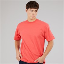 Vans Mens Premium Loose Fit T-Shirt Crimson Haze