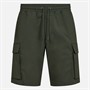 Resteröds Shorts cargo Homme Vert