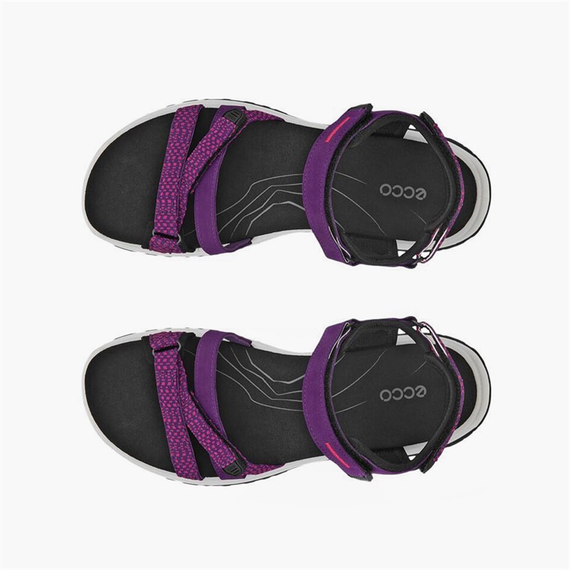 ECCO Womens Offroad Roam Nubuck Ankle Strap Sandals Imperial Purple/Beetroot