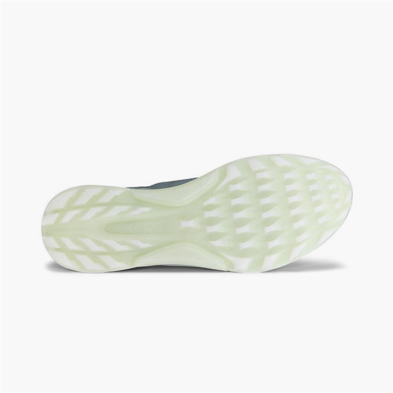 ECCO Damen Biom C4 Gore Tex Golfschuhe Sedum Green