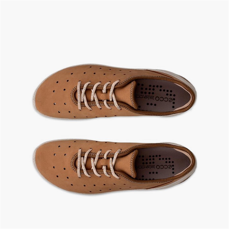 ECCO Damen Biom Everyday Schnür Turnschuhe Cashmere