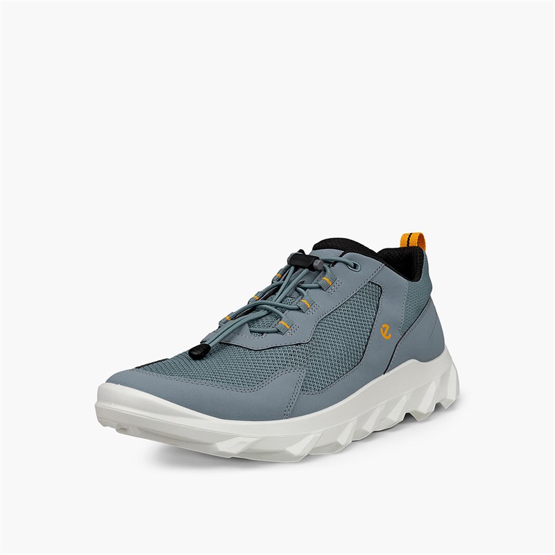 ECCO Herren Mx Speedlace Goretex Trainer Trooper/Trooper