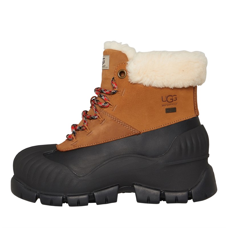 UGG® Womens Adiroam Hiker Boots Chestnut