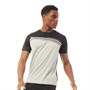 SKECHERS Mens Hogan Striped Sports Top Grey