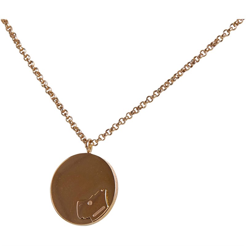 RADLEY Womens Necklace Rose Gold