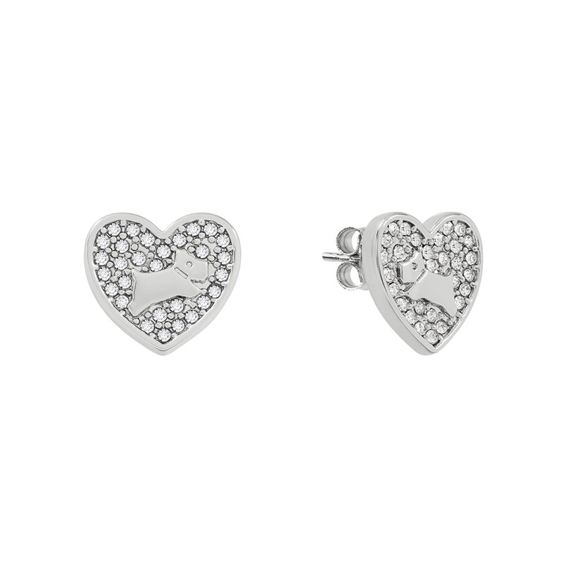 RADLEY Womens Earrings Silver