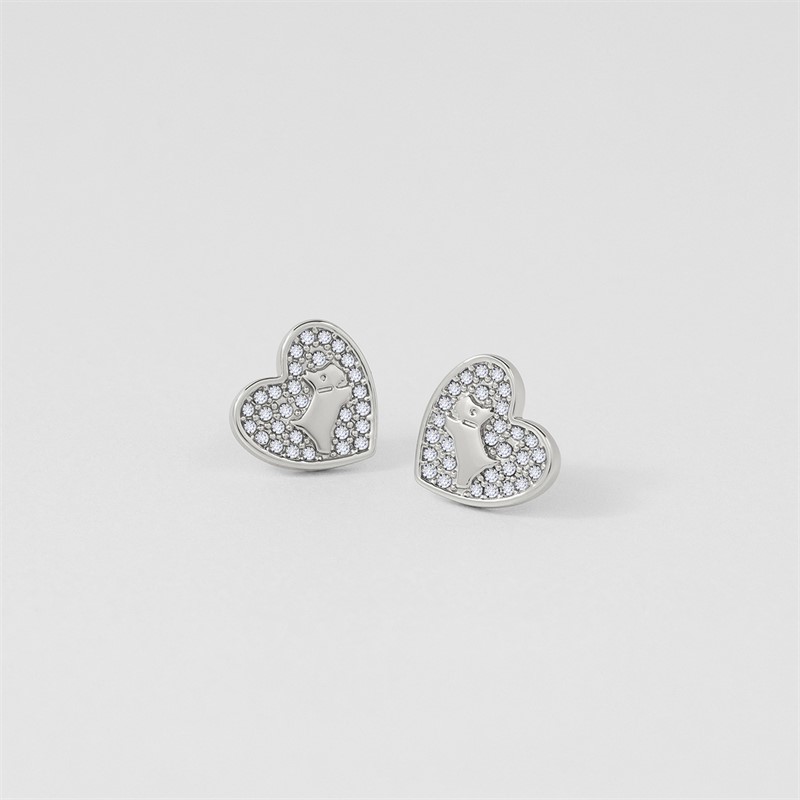 RADLEY Womens Earrings Silver
