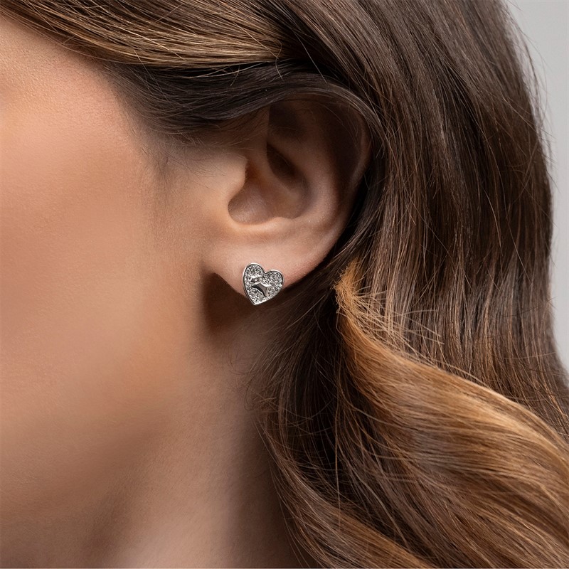 RADLEY Womens Earrings Silver