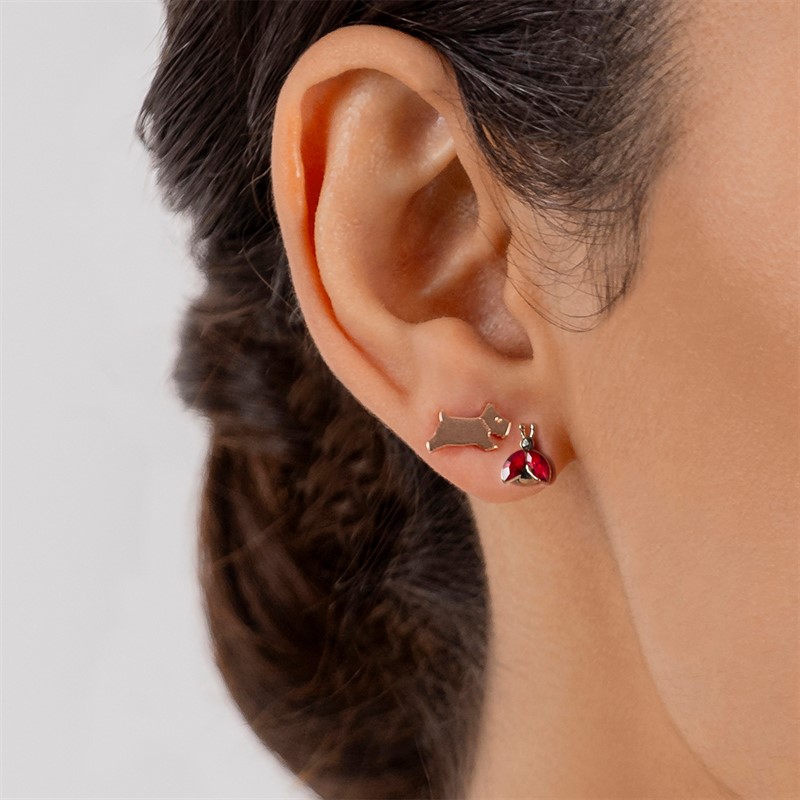 RADLEY Womens Earrings Silver