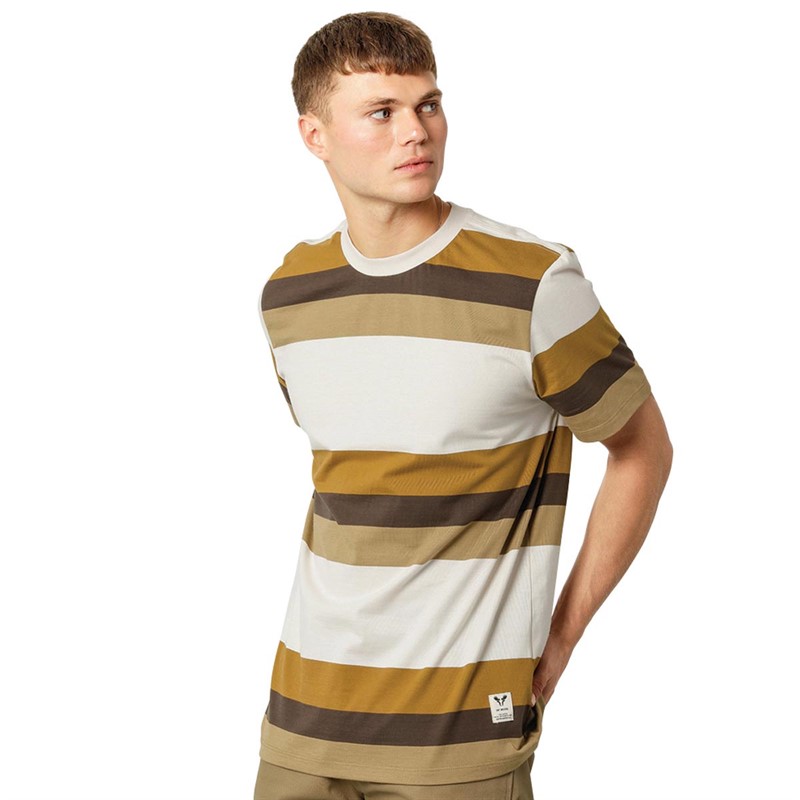 Fat Moose T-Shirts Caleb Cotton Homme Multicolore
