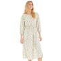 Hooch Womens Daisy Dress Sage