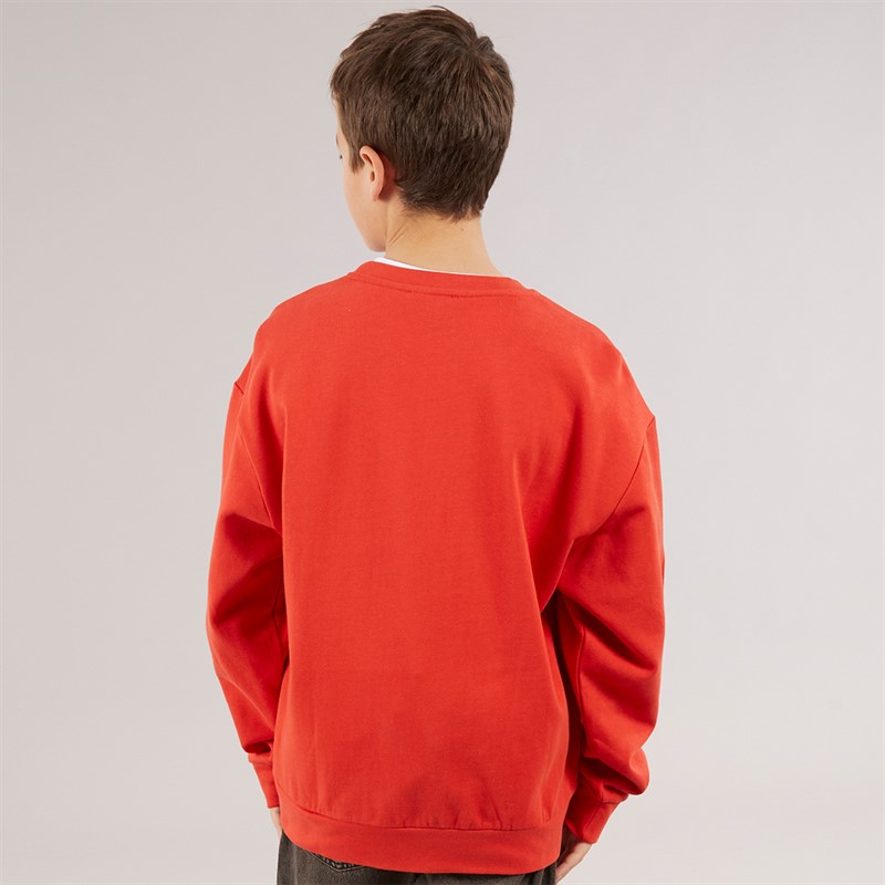STELLA McCARTNEY Boys Sweatshirt Red