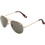 Superdry Huntsman Sonnenbrille Gold