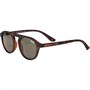 Superdry Palmsprings Sunglasses Multi